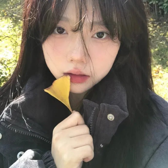 晓之春 海报